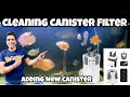 Canister filter cleaning  how to clean canister filter  getting new canister filter