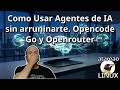 797 - Como Usar Agentes de IA sin arruninarte. Opencode Go y Openrouter