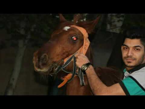 Mojtaba Torkashvand آهنگ مجتبی ترکاشوند بنام بچه خوشکل