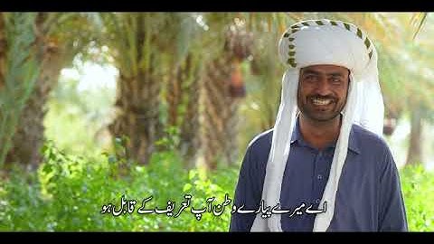 The Tamre Panjgur Story |  Khajoor  | Dates Processing Plant  |  Documentary - Complete Version