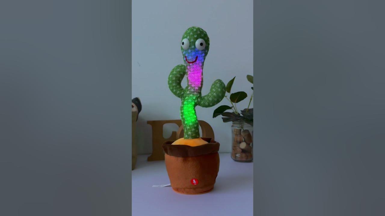 Cactus Bailarin Impresionante 😱 Repite Todo lo que dices 🤩 Gepxho 