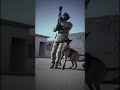 Squad k9 training shorts shortsdog specialforces k9 training tutorial