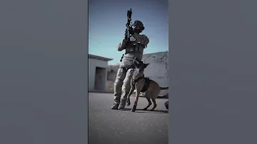 The Best Canine Pro Hub Squad K9 Training 