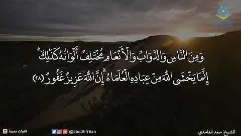 تلاوة ماتيسر من سورة النمل للشيخ سعد الغامدي