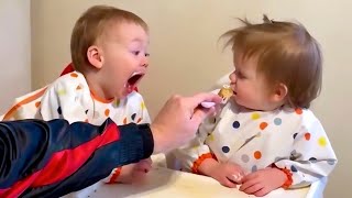 Babies NonStop | 24Hour Stream of Endless Cuteness!