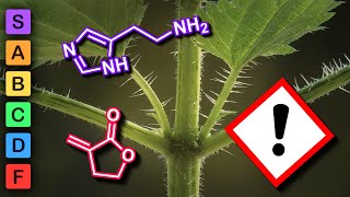 Why do certain plants cause irritation? (Plant Irritant Lore) by That Chemist 53,232 views 6 months ago 16 minutes