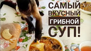 Пробуем бабушкин грибной суп. Пробуем бабушкин грибной суп.