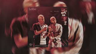 (speed up) lobo - Orochi ft. MC Poze do Rodo