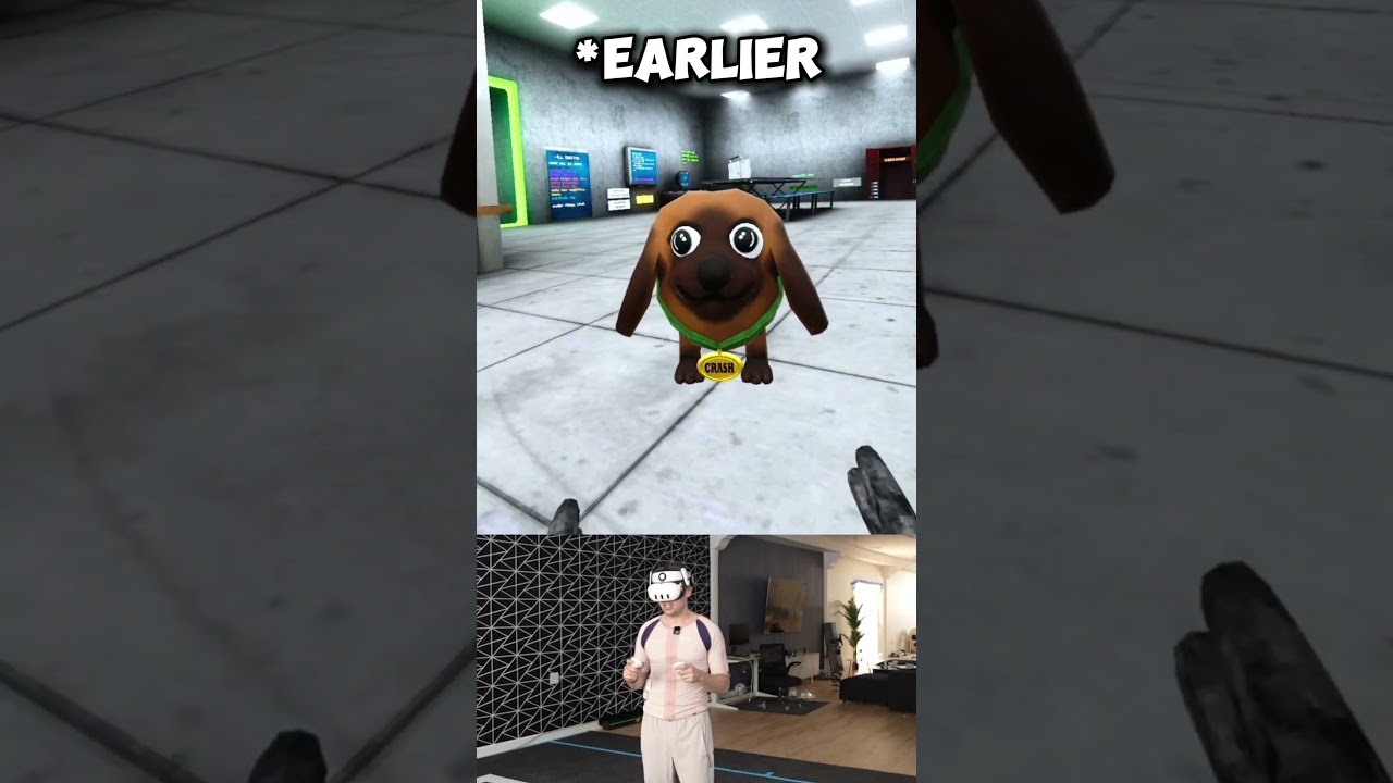 Where did Crash go?!?! #vr #gtag #scarybaboon