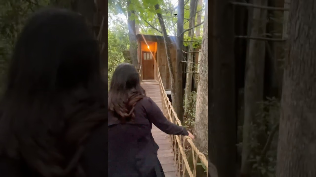 Tree house in Old Fort, NC 