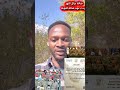 طرد كباشي من الجيش السوداني وتعين ياسر العطاء