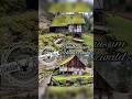 Das waldhaus idylle im schwarzwaldblack forest lostplaces schwarzwald zartesreh travel urbex