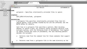 Git & GitHub 9 Gitignore File