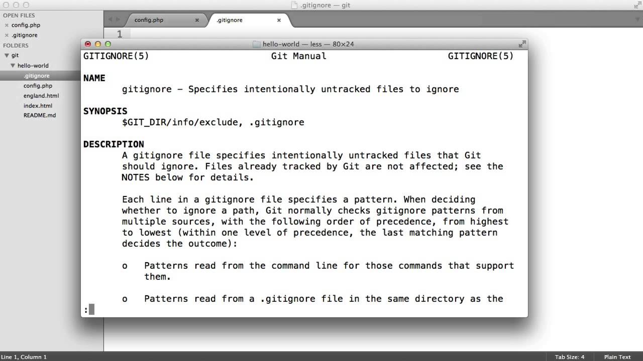 Git & GitHub 9 Gitignore File - YouTube