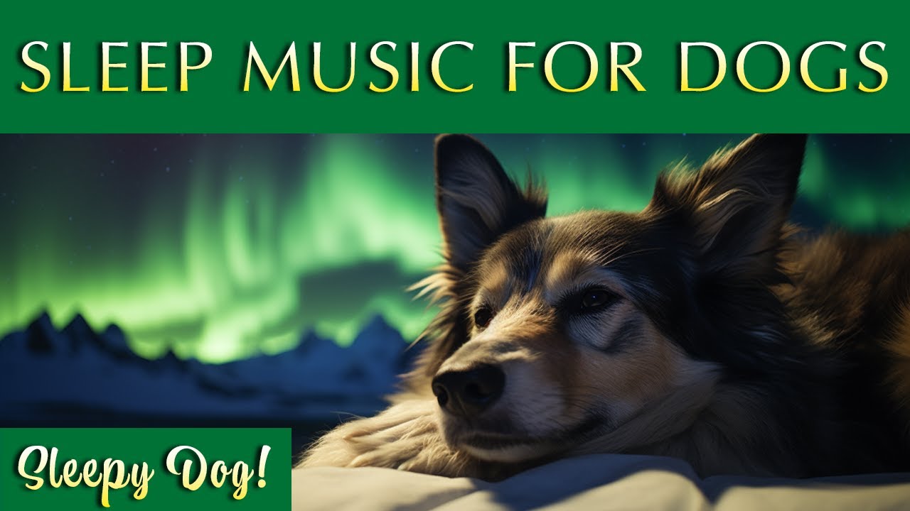 Soothing Sleep Music for Dogs 😴🐶 Sleep-Inducing Music for Your Pup