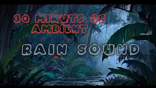 Soothing Rain Sounds for Relaxation and Sleep #RainSounds #AmbientSounds #Relaxation #SleepSounds