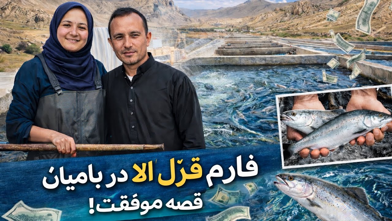 3️⃣ راز موفقیت یک خانواده در بامیان | پرورش قزل آلا در دل کوهستان