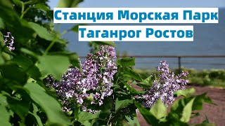 Ростовская область/Станция Морская Парк/Пляж