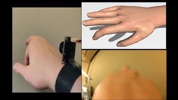 Back-Hand-Pose: 3D Hand Pose Estimation for a Wrist-worn Camera via Dorsum Deformation Network