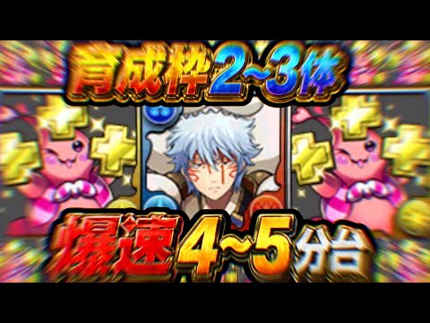 【最高効率】初日から完全崩壊！パズル不要になった魔夏の限界突破コロシアムが美味すぎる【パズドラ】