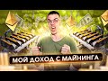 ЖИВ ЛИ МОЙ МАЙНИНГ СПУСТЯ 3.5 ГОДА? КАКОЙ ДОХОД?