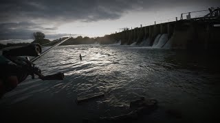 Fishing for spillway MONSTERS