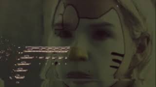 HAAi - Head Above The Parakeets