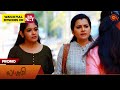 Lakshmi promo  04 may 2024   new tamil serial  sun tv