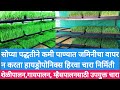 सोप्या पद्धतीने हायड्रोपोनिक्स हिरवा चारा निर्मिती / Hydroponic Green Fodder/कमी जागेत भरपूर उत्पादन