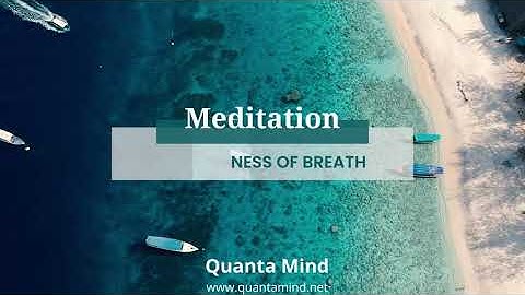 Mindfulness of Breath I Counting the Breath Part 2 I Breathing In I Breath as an Anchor