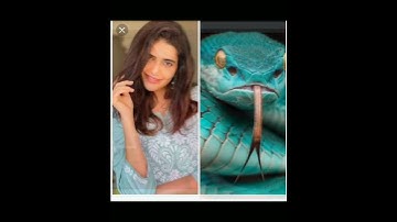 nagin serial all actress same colour dress👗 and snake🐍🐍 short video..