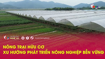 Nông trại hữu cơ – xu hướng phát triển nông nghiệp bền vững