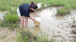 WOW Sexy Girl Fishing at battambang Province in cambodia Traditional Fishing(part81)