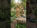 DIY Bird Feeding Station 🐦✨ | INSANE Garden Transformation Idea