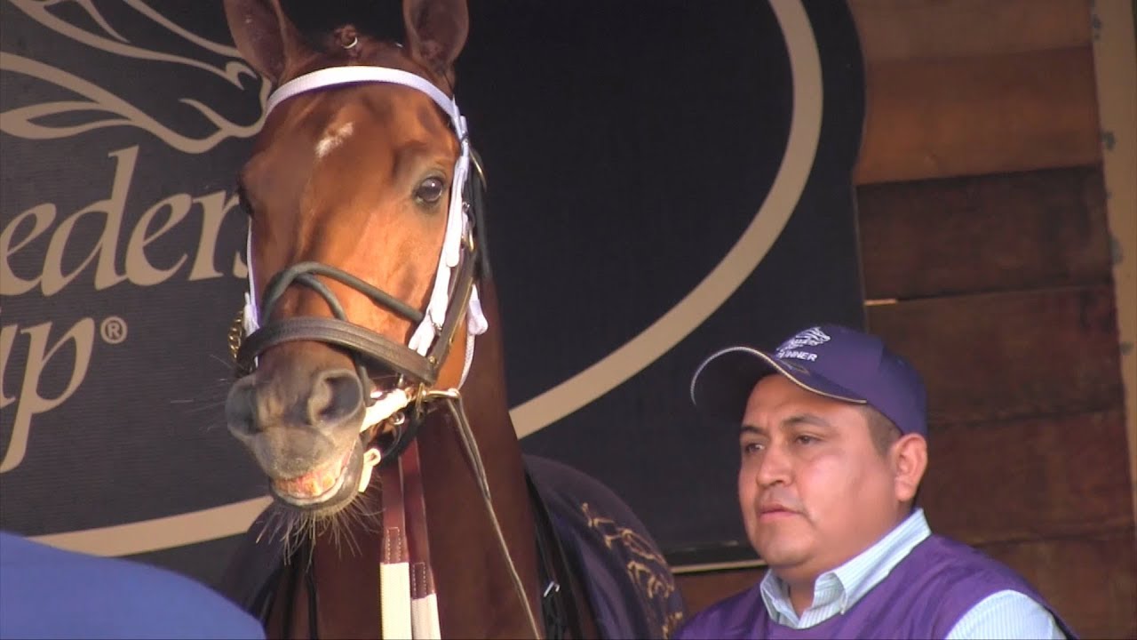 2017 Breeders' Cup Classic: Gun Runner Wins, Collected Places, West Coast ...