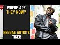 Where are they now? - Tiger (Reggae Artiste) - This Cat has more than Nine lives