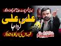 Tu Ali Ali Karda Jaa Qasida - Zakir Qazi Waseem Safdar
