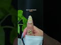 New season, new almond nails inspo 2025 🌞 naillover.co #almondnailshape #nailinspo #trendynails