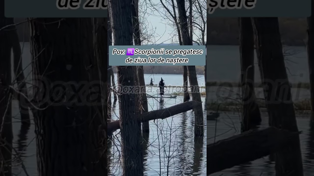 Scorpionii, cum va simțiți înainte de ziua voastră de naștere ? 