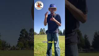 YOU HAVE TO BE CONSISTENT#dogtraining#dogbehavior#trainingwithtroy#pitbull#dogtrainer