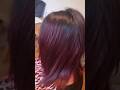 Wella 55 65 66 45 With 2 0 Root Hairdresser Purplehair Wella Selfemployed Hairtransformation