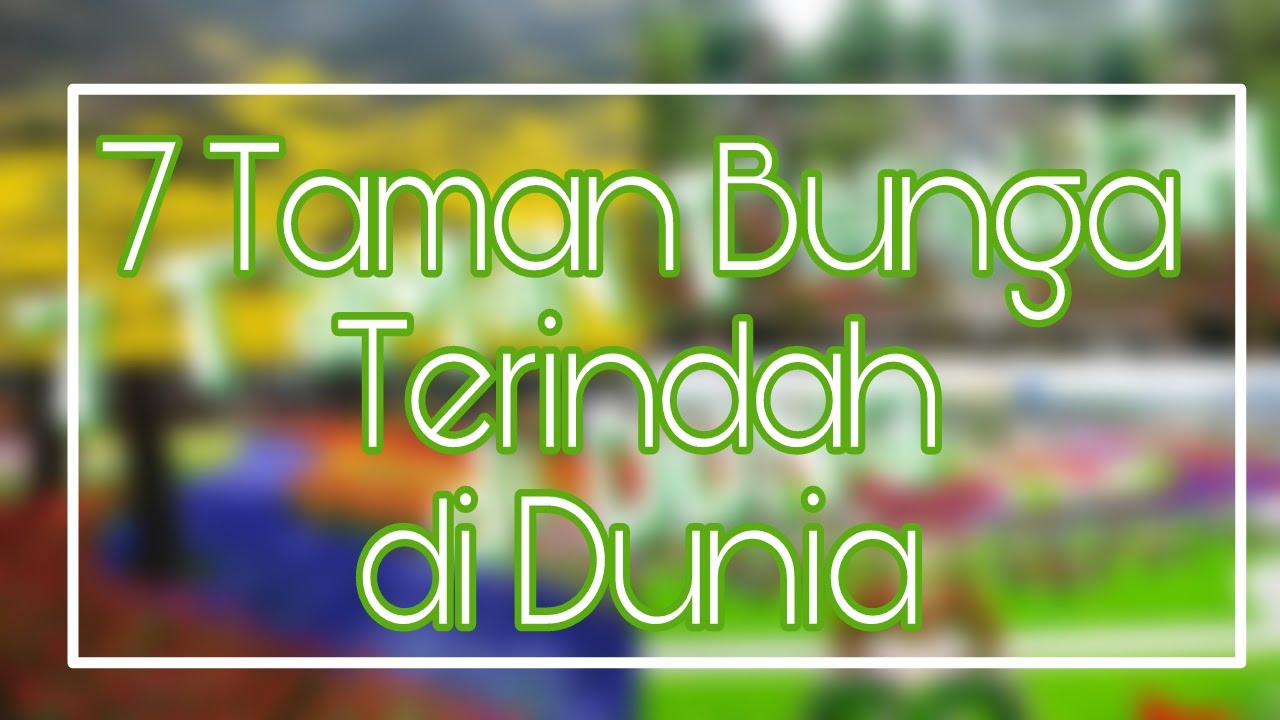 7 Taman  Bunga  Terindah Bagaikan Surga di  Dunia YouTube