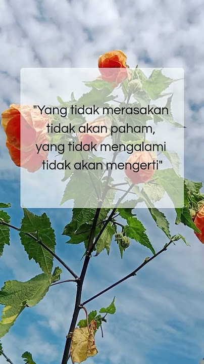 yang tidak merasakan #motivasi #quotes #shortsvideo #kata kata bijak #story wa #penyemangatdiri