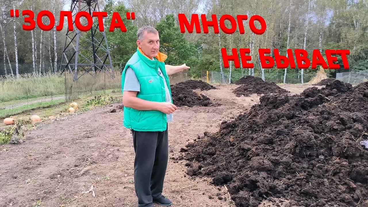 Привезли три машины УДОБРЕНИЯ для ТАБАКА. С трудом успеваем делать все ...