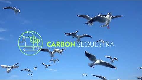 Nature-based Solutions in the Western Balkans - IUCN ECARO/ADAPT