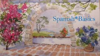 Spanish Basics: Introduction to Verb Tenses - Module 7