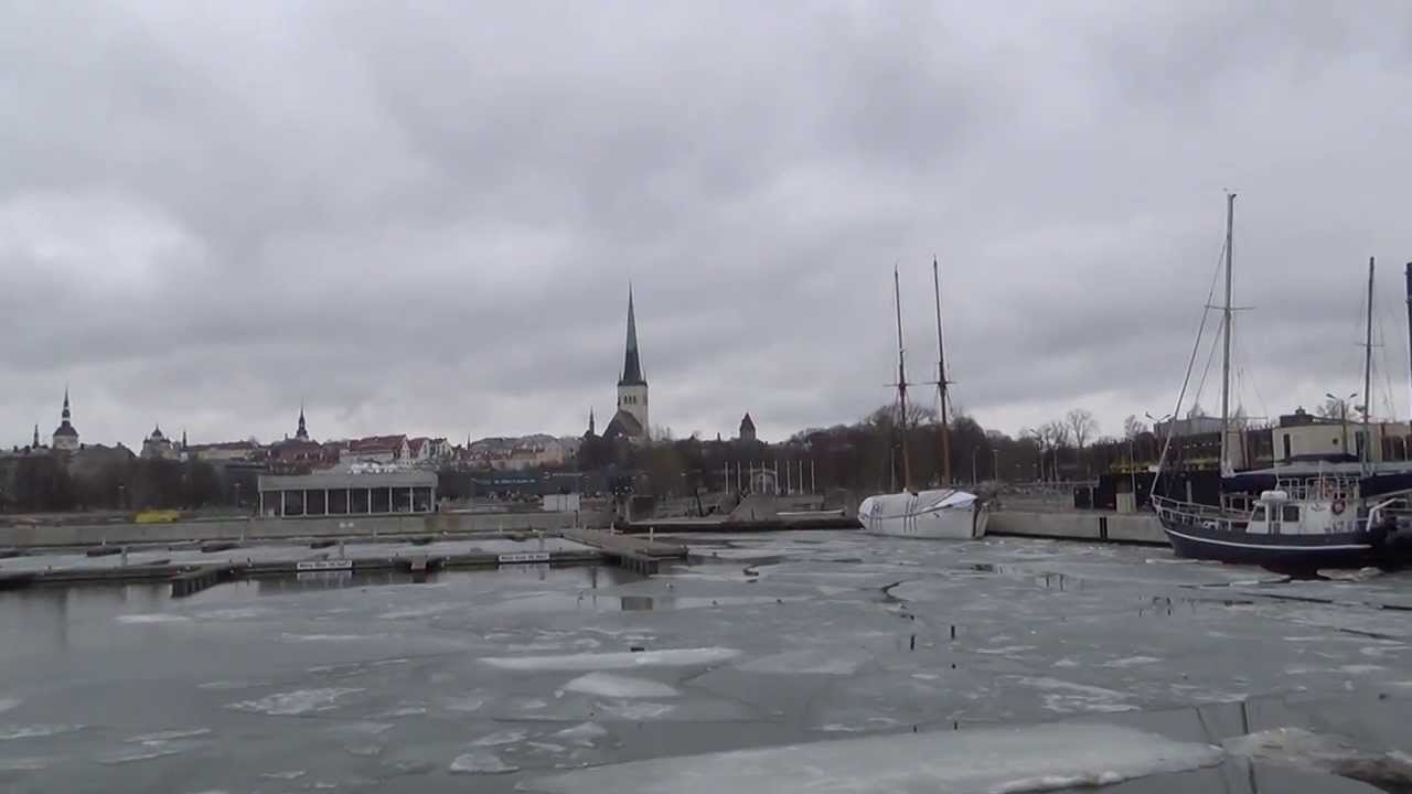 Шкода таллинский спб