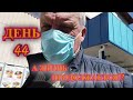 Новогродовка - заехали в старый центр.Родной магазин детства. Груминг Мэри,цены АТБ и не только...