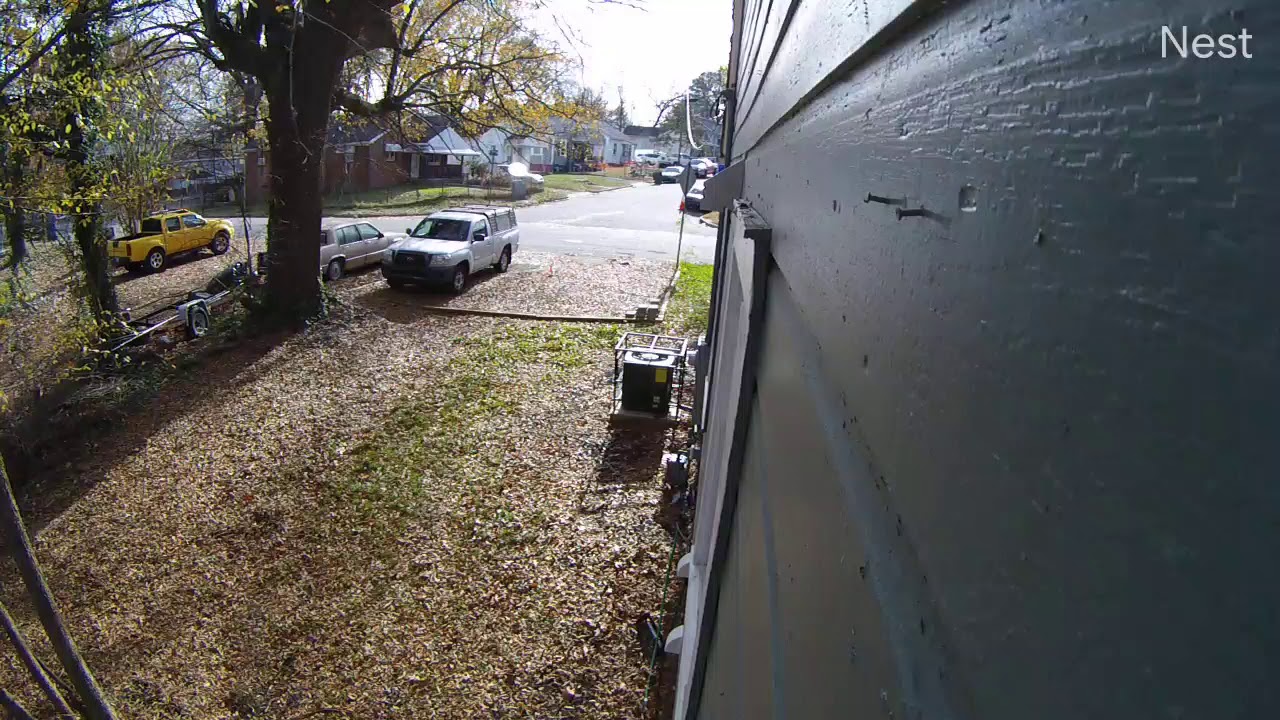 Dog Chasing Chicken Sideyard YouTube