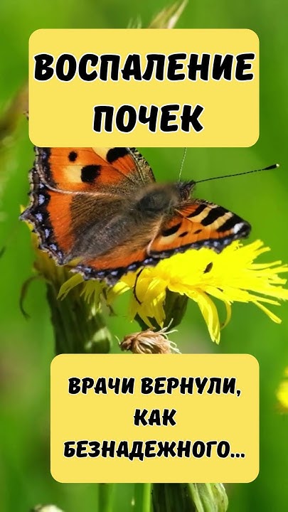 Воспаление почек...Как помочь... - YouTube